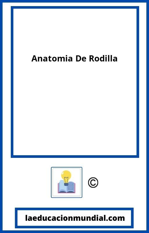 Anatomia De Rodilla PDF