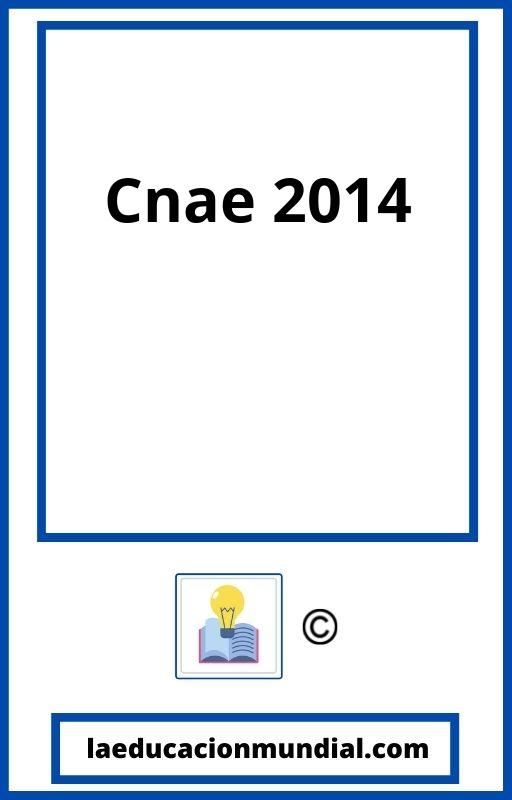 Cnae 2014 PDF