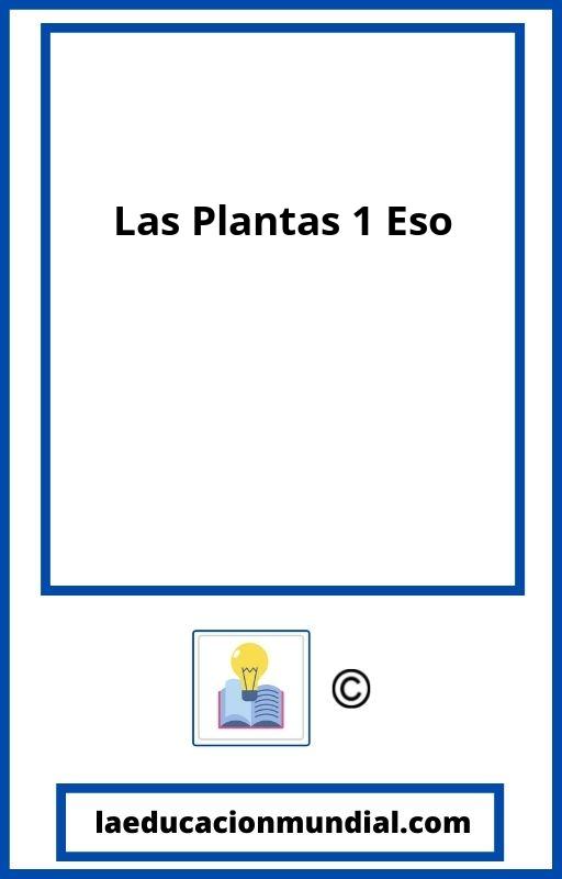 Las Plantas 1 Eso PDF