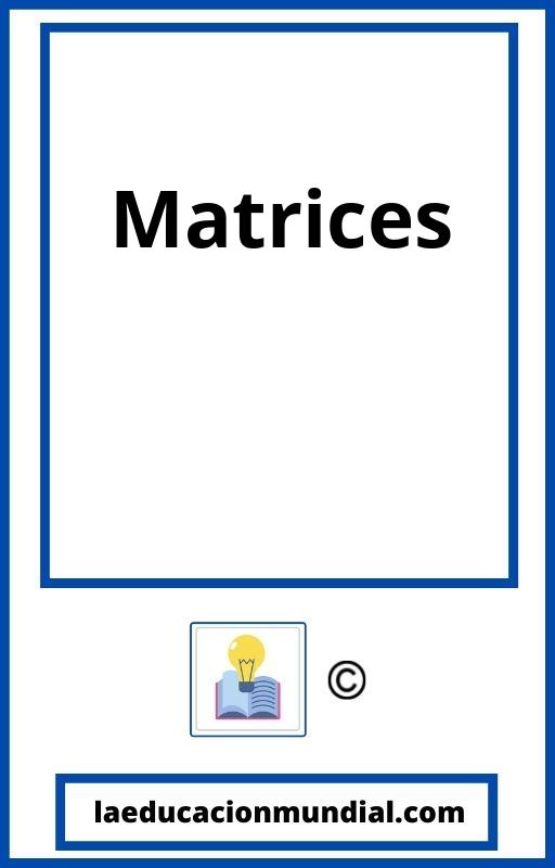 Matrices PDF