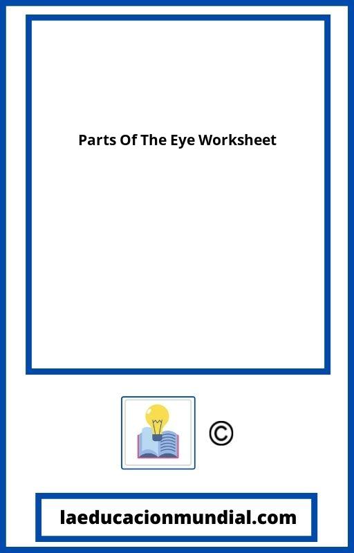 Parts Of The Eye Worksheet PDF