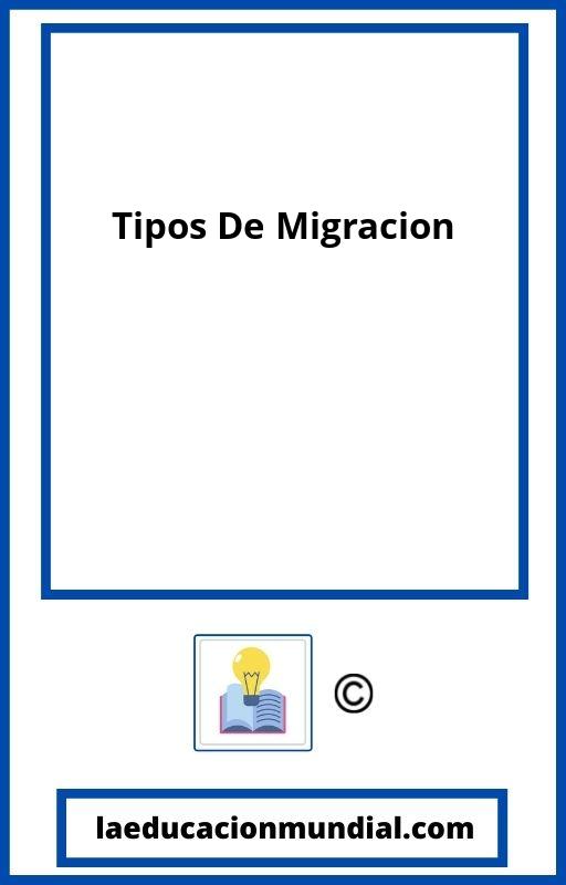 Tipos De Migracion PDF